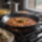 Exploring the Versatility of the 9 Inch Carbon Steel Pan Introduction