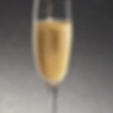 A close-up shot of a champagne flute filled with sparkling champagne, capturing its effervescence.