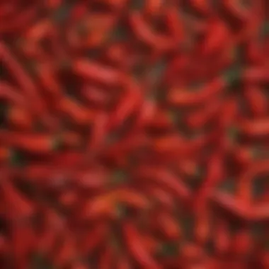 A close-up of chili peppers, highlighting their rich textures and vibrant colors.