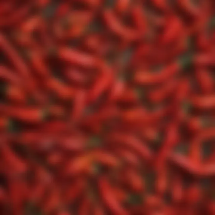 A close-up of chili peppers, highlighting their rich textures and vibrant colors.