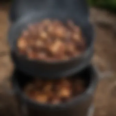 Interior view of the Weber Smokey Mountain Cooker showing charcoal and wood chips