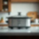 A spacious and elegant slow cooker on a kitchen countertop