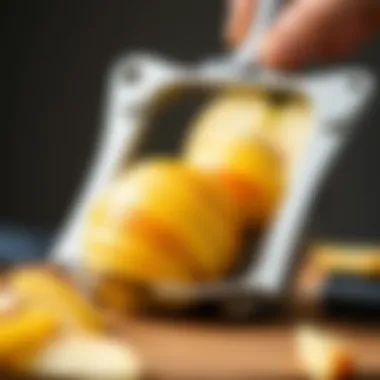Variety of sliced apples prepared using the apple peeler