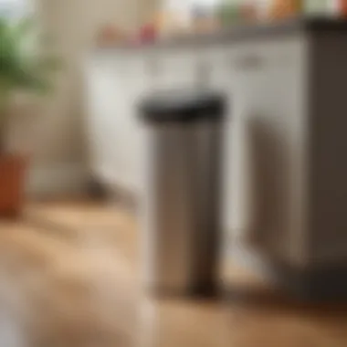 Various features of a modern motion sensor trash can