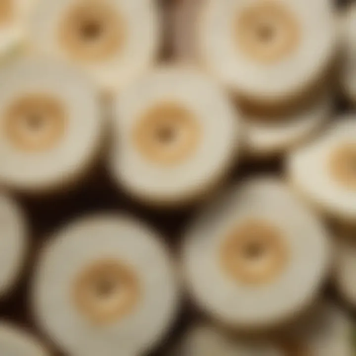 Close-up of sliced daikon radish showcasing its texture