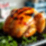 Close-up of marinated turkey ready for grilling