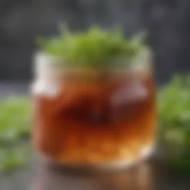 Close-up of sea moss gel in a glass jar with leafy background