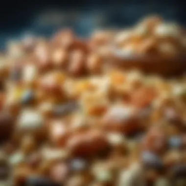 A vibrant display of assorted nuts and seeds