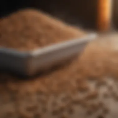 A high-quality wood pellet during the manufacturing stage