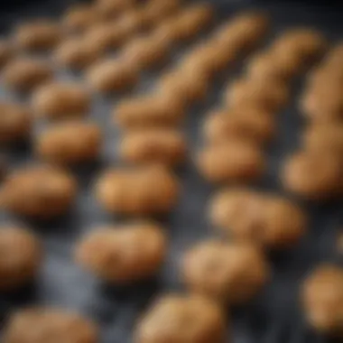 Delicious baked dog treats cooling on a wire rack.