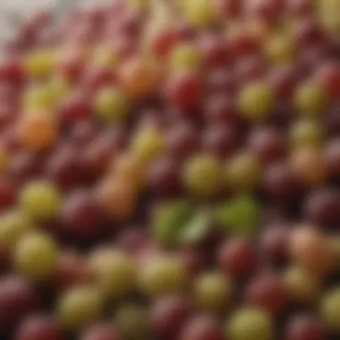 Close-up of freshly crushed grapes illustrating the initial stage of fermentation.