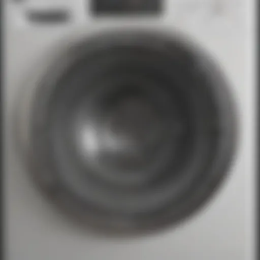 Interior view of a clean front-load washer drum