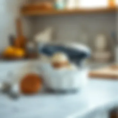 Essential Maintenance for Your Ice Cream Maker Maintenance tips for keeping your ice cream sandwich maker in great condition