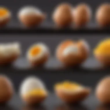 Comparison of Egg Alternatives A visual comparison of various egg alternatives with their culinary applications