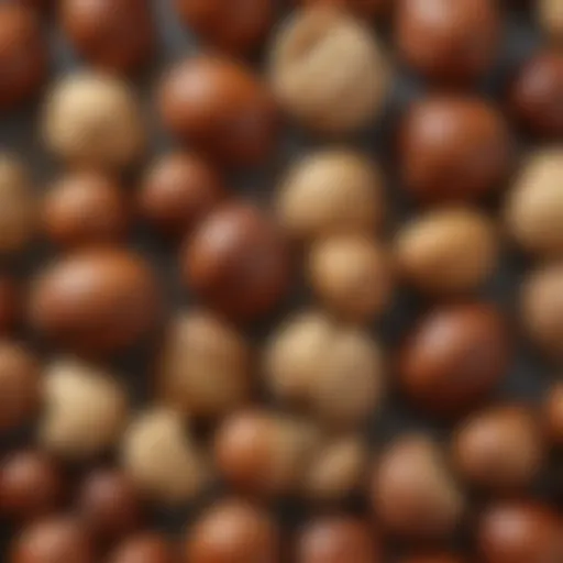 Close-up of hazelnuts showcasing their unique shell and texture