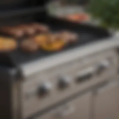 Close-up view of grilling surface highlighting cooking performance