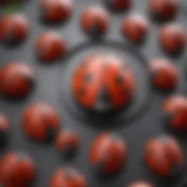 Close-up view of the Ladybug Cake Pan highlighting its unique shape and craftsmanship.