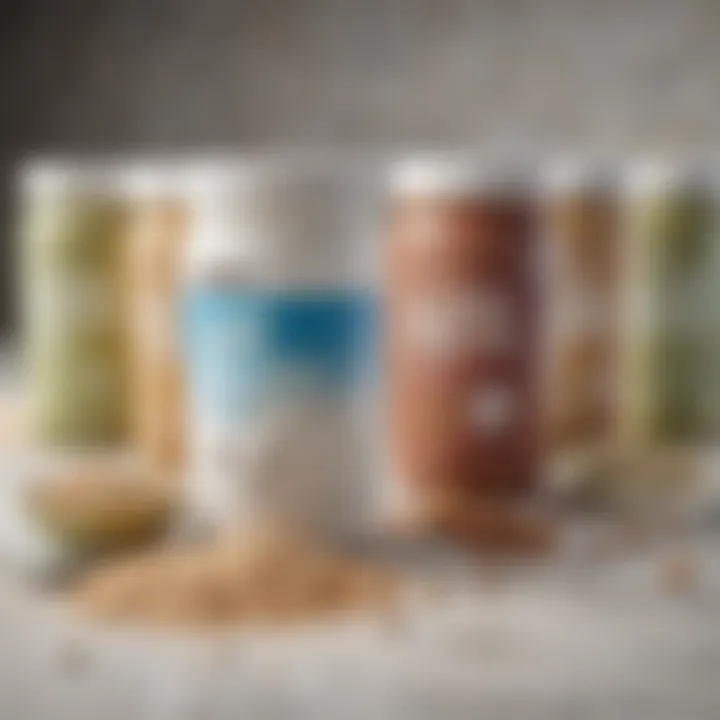 Selection of low carb protein powders in various flavors and packaging