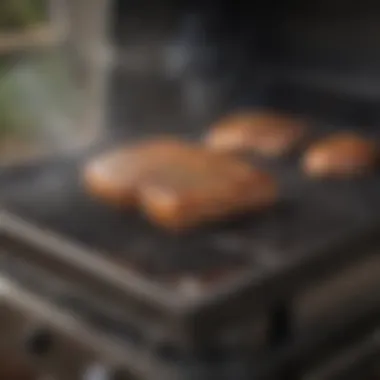 Pellet Grill in Action Pellet grill showcasing perfect smoke infusion