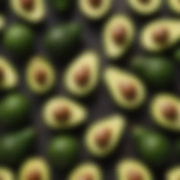 A selection of avocados arranged, highlighting various stages of ripeness.