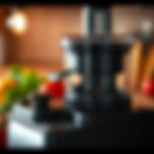 A close-up of a multi-purpose juicer showcasing its features.