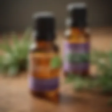 A selection of essential oils known for their mosquito-repelling properties.