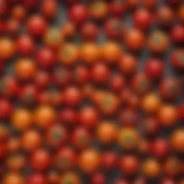 An assortment of cherry tomatoes in various colors