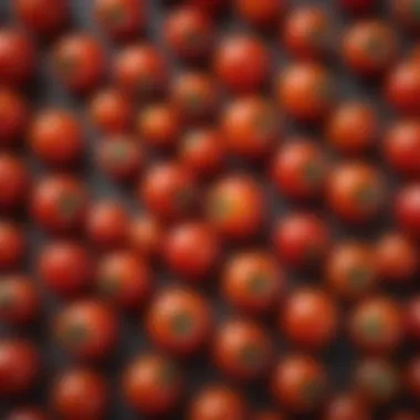 Close-up view of cherry tomatoes showcasing their juicy texture