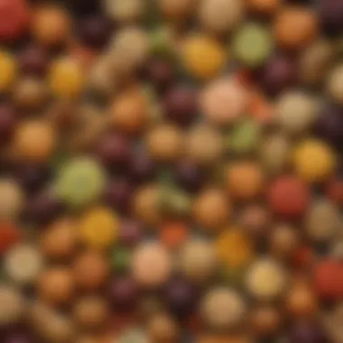 A close-up view of whole ingredients used in Organic Aussie Bites