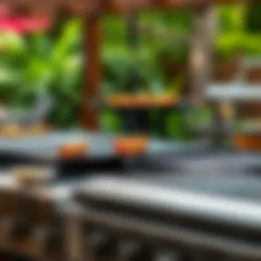 A variety of outdoor griddles showcasing their unique designs and features
