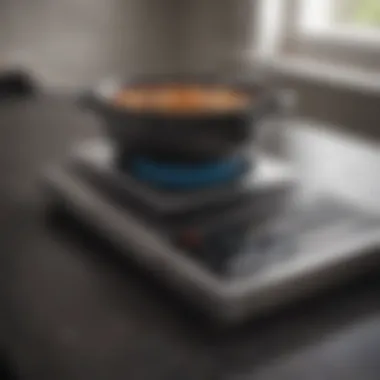 A sleek portable induction burner designed for modern kitchens