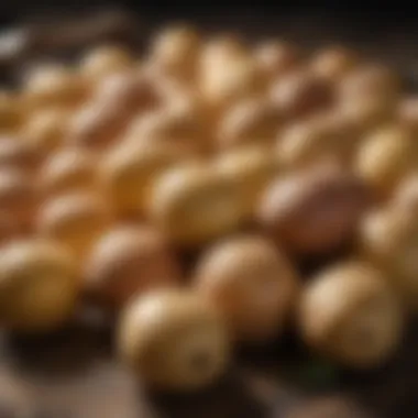 An assortment of different potato varieties suitable for baking displayed on a rustic table.