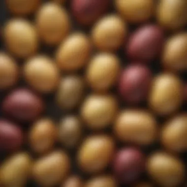 A selection of different potato varieties, showcasing their unique textures and colors.