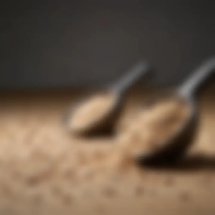 Close-up of protein powder scoops highlighting texture and quality.