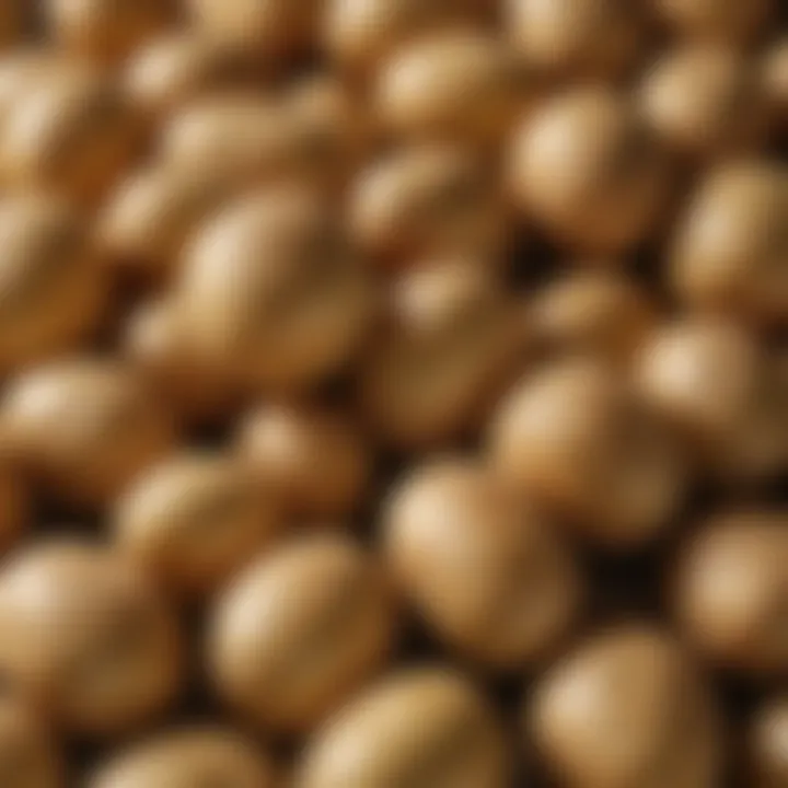 Close-up of fresh, raw potatoes selected for frying