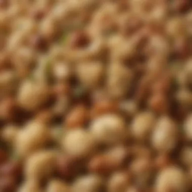 A close-up of a unique stuffing blend, emphasizing texture and flavor elements.