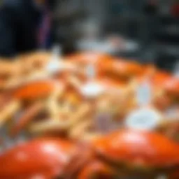 A variety of fresh crab types displayed on ice.