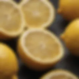 Close-up of bitter lemon showcasing its unique texture and color