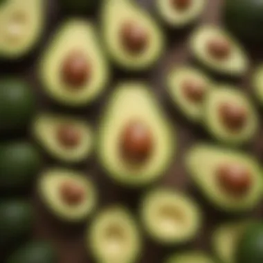 Nutritional Profile of Avocados Nutritional infographic of avocados highlighting key vitamins and minerals