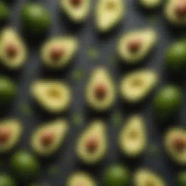Satiety Benefits of Avocados Conceptual illustration of satiety and fullness related to avocado consumption