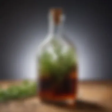 Vinegar's Versatile Essence A close-up view of vinegar in a glass bottle with herbs