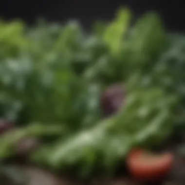 A variety of leafy greens showcasing nutritional potential for smoothies.