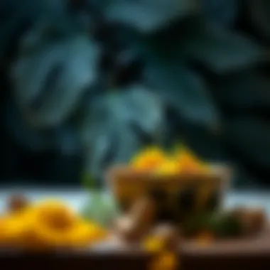 A traditional Spanish dish featuring turmeric as a key ingredient, showcasing its culinary integration