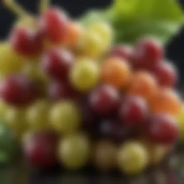 Fresh Grapes and Their Significance Close-up of grape clusters with glistening drops of water symbolizing freshness