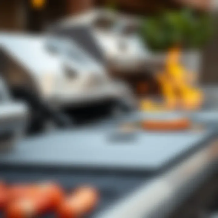 Diverse Types of Gas Grill Inserts Closeup of various types of gas grill inserts highlighting their distinctive functionalities.