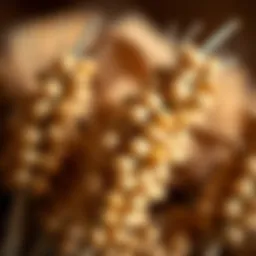 A close-up of barley grains used in gluten-free brewing