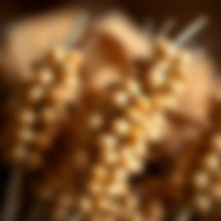 Barley Grains: A Key Ingredient in Gluten-Free Beer A close-up of barley grains used in gluten-free brewing