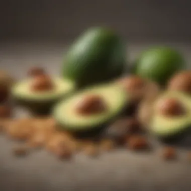 Assorted healthy lipid sources including avocados and nuts