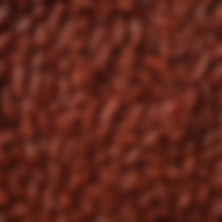 A close-up view of Sichuan chili bean paste revealing its texture and depth of flavor.