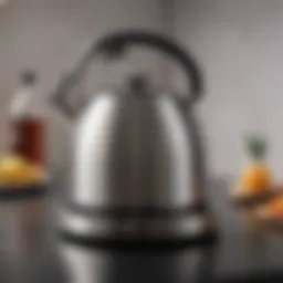 Elegant stainless steel induction kettle showcasing modern design